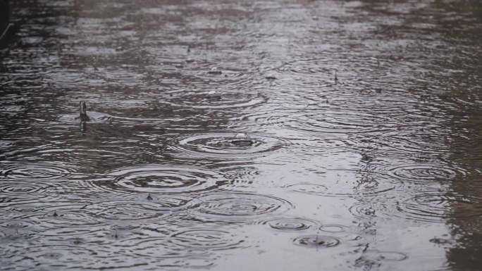 下雨 水坑 水面 波纹 雨滴 雨滴水面