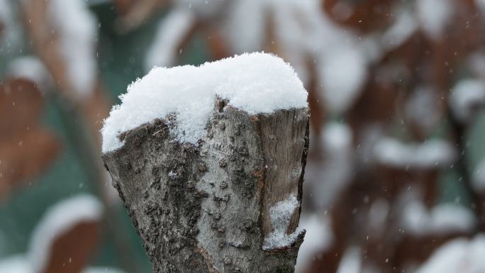 冬季天下飘雪皑皑屋顶积雪实拍空镜头