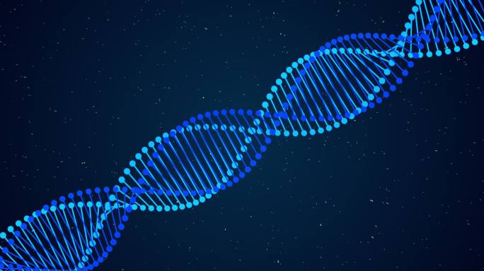DNA DNA链 基因链
