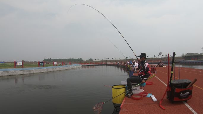 户外休闲运动钓鱼比赛台钓竞技上鱼出竿