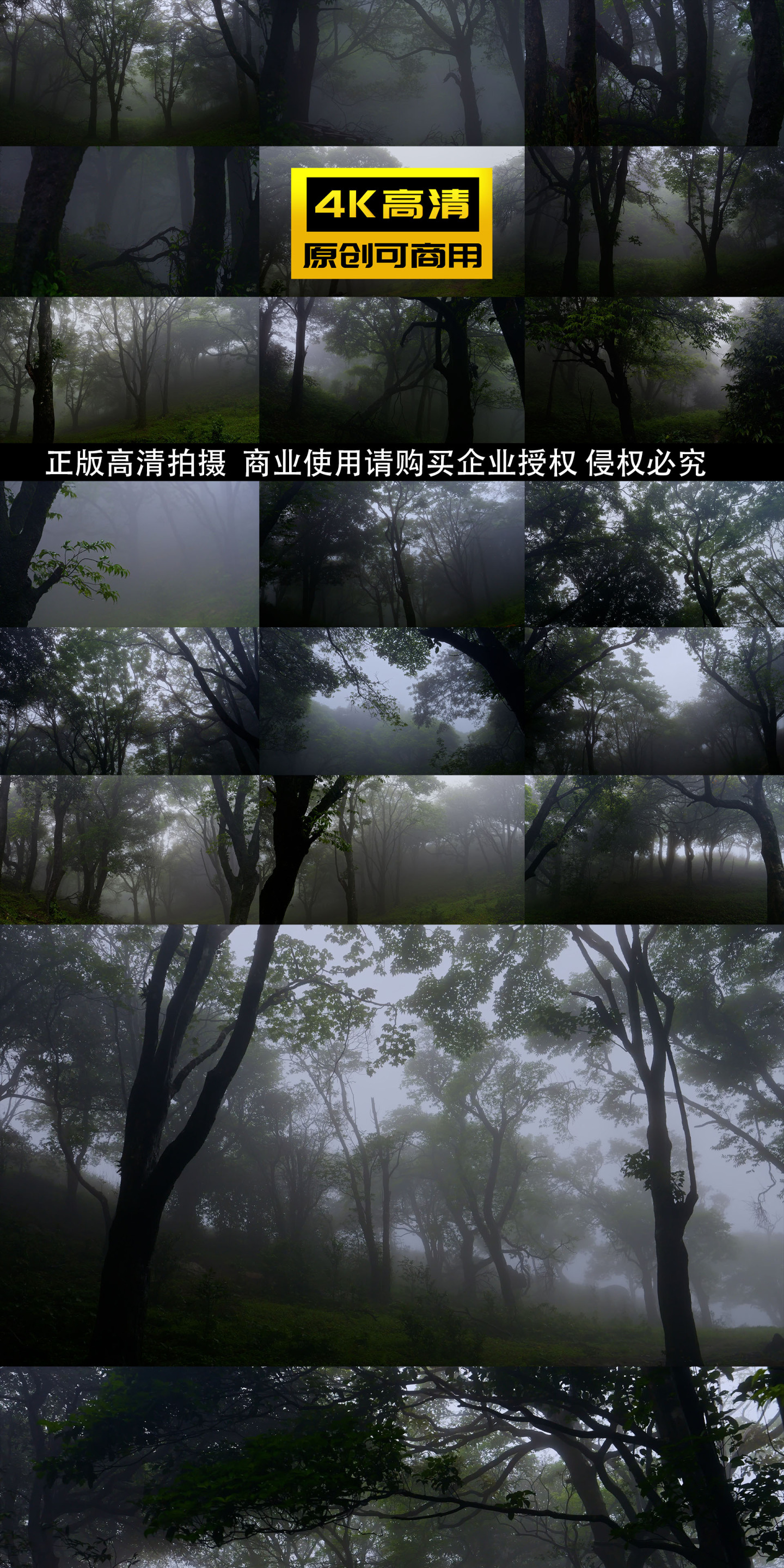 迷雾森林树木