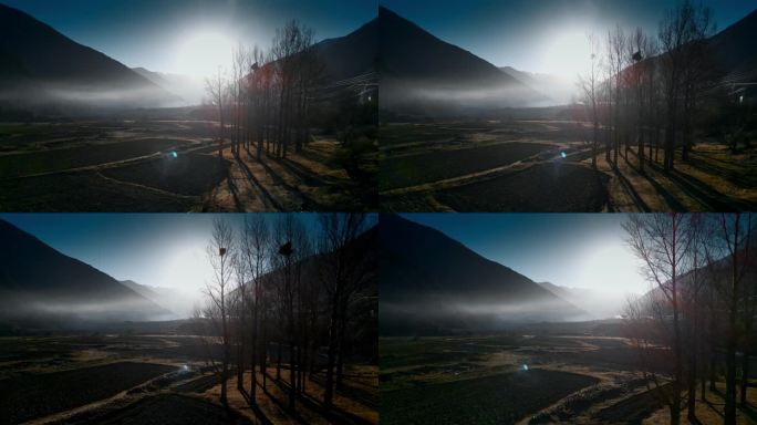 西藏旅游风光晨雾逆光原野