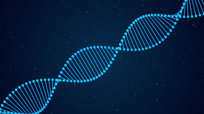 DNA DNA链 基因链