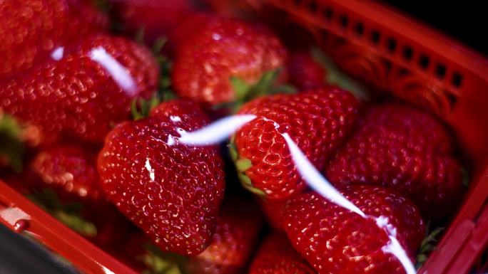 超市货架上保鲜盒里的草莓