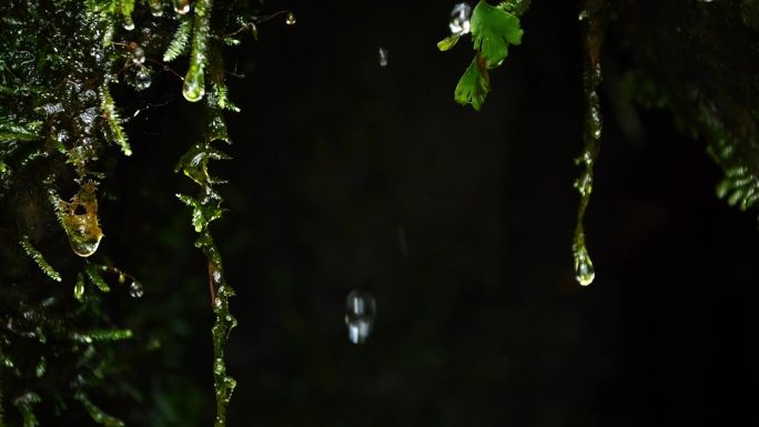 溪水瀑布水滴雨滴1