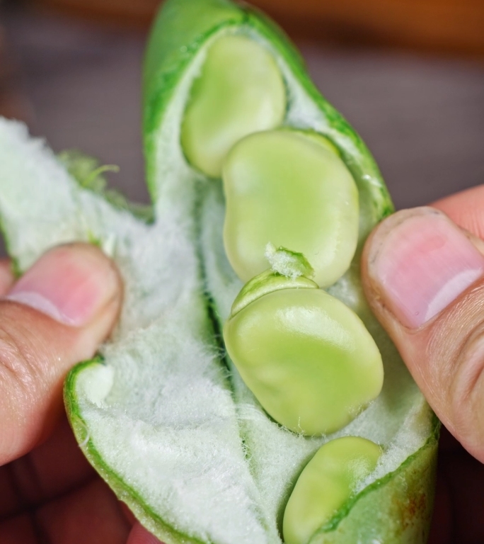 蚕豆 新鲜蚕豆竖版