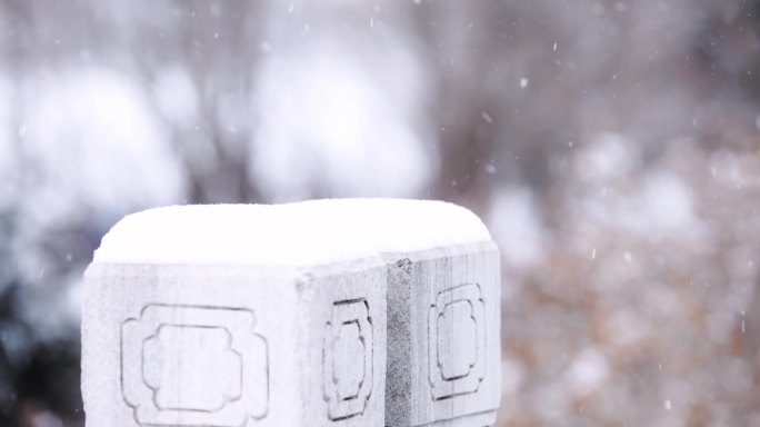 冬天大雪中的石墩石柱