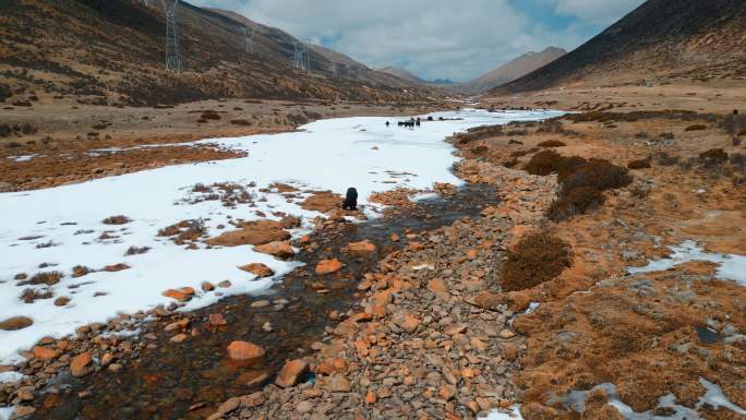 西藏旅游风光318国道雪山牧场冰河牦牛