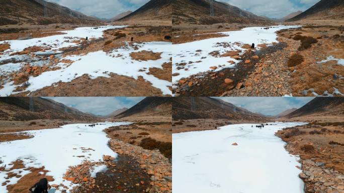 西藏旅游风光318国道雪山牧场冰河牦牛