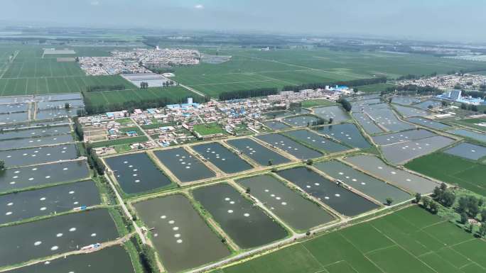 辽中蒲河国家湿地公园   养鱼池  鱼塘