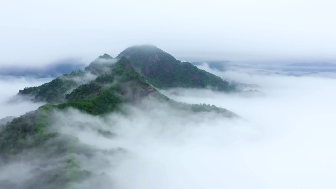 云海  森林云海 原始森林 十万大山