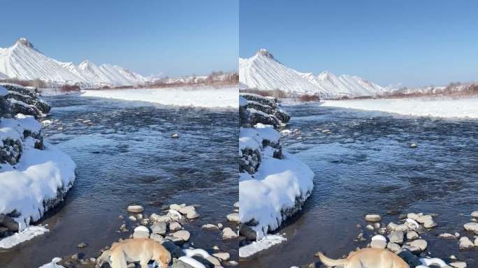 原创| 新疆冬季雪景实拍