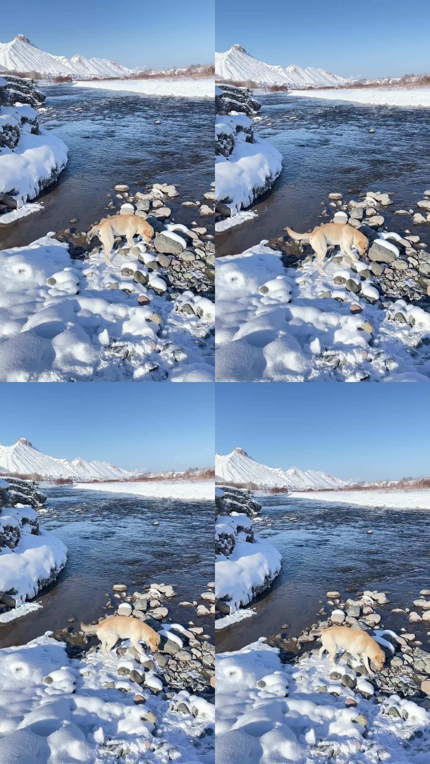 原创| 新疆冬季雪景实拍