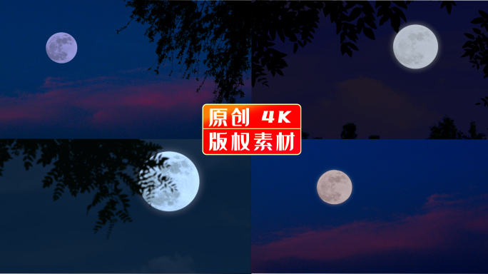 月光素材 月亮  夜景 月亮 月亮树影