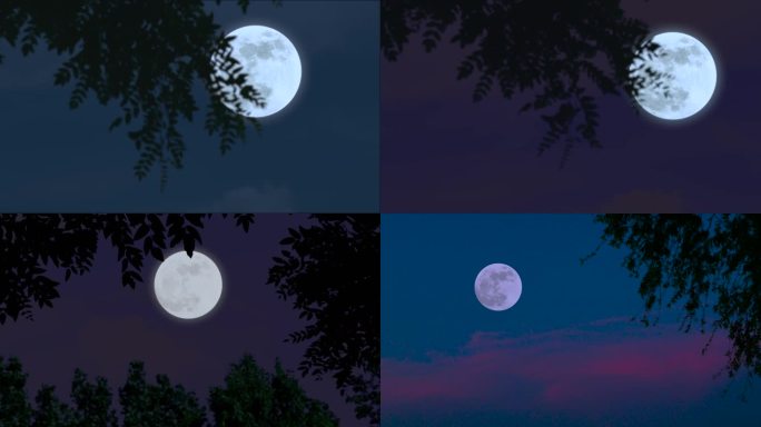 月光素材 月亮  夜景 月亮 月亮树影