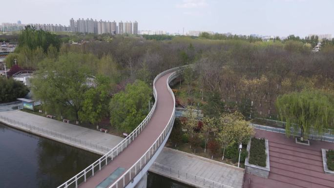 公园观景桥