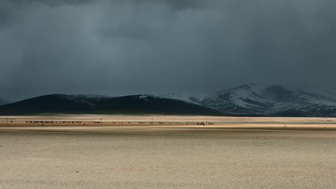 西藏旅游风光冈底斯山高原牧场牦牛远景