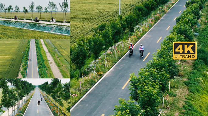 人们骑行在开满鲜花的麦田道路上