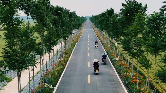 人们骑行在开满鲜花的麦田道路上