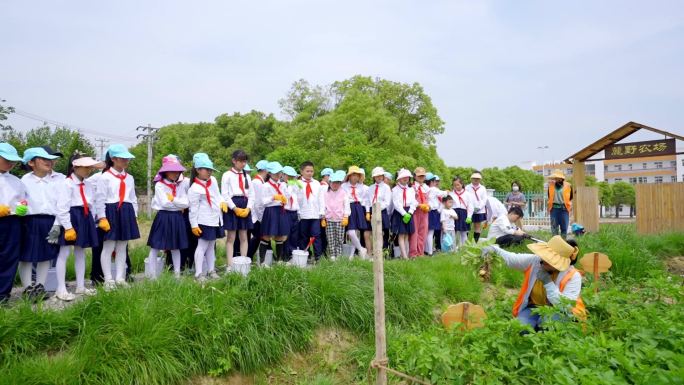 六一儿童节研学老师带孩子们在菜地种土豆