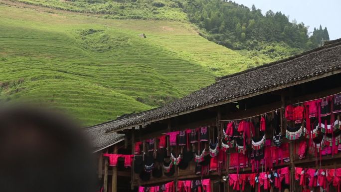 长发村 淘米水 红瑶2  节日