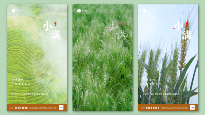 小满高端实拍竖版AE模板
