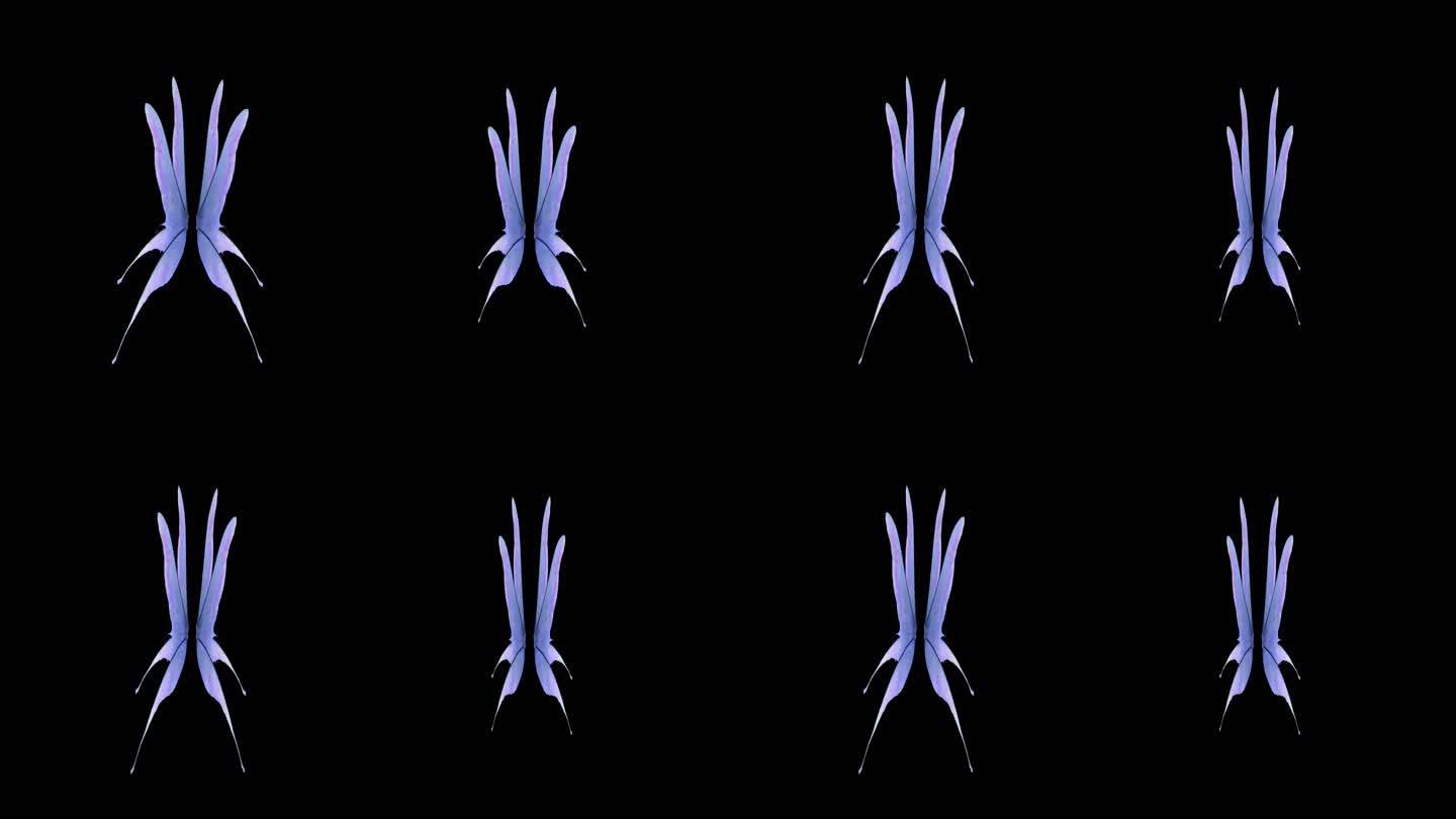 翅膀动画 漂亮翅膀 翅膀正反面动画