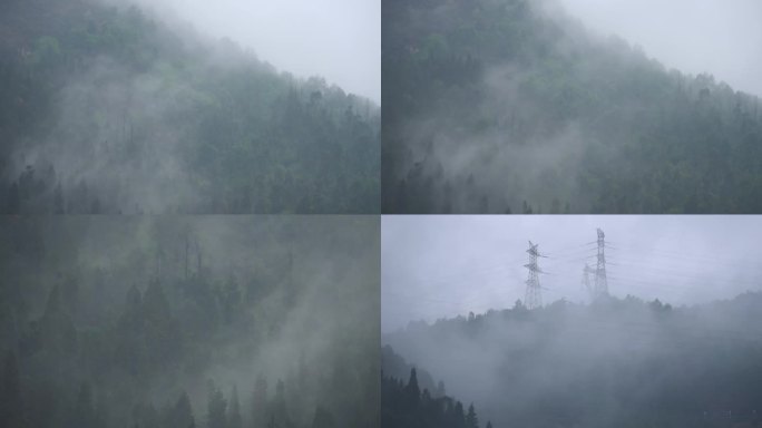 晨雾山雨