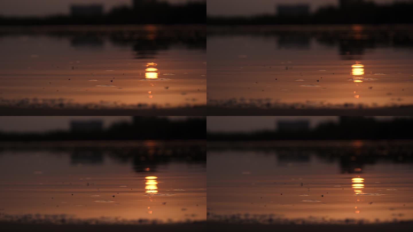 水中夕阳的倒影