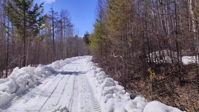 行驶在崎岖颠簸的森林雪路上