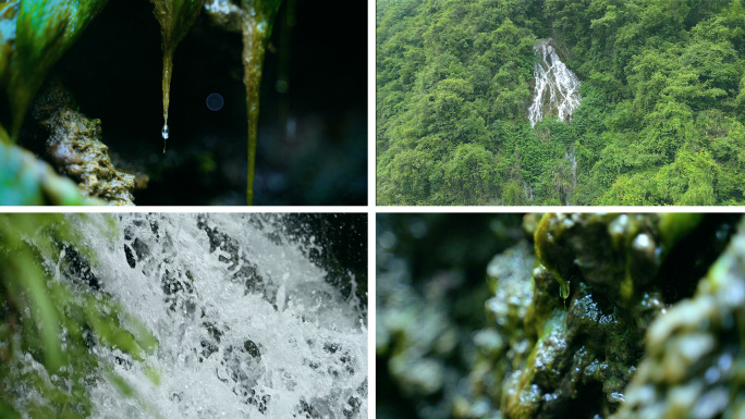 溶洞滴水森林瀑布水源地林中溪流山泉水矿泉