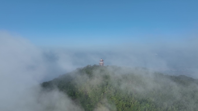 航拍襄阳鹿门山国家森林公园云海自然风光