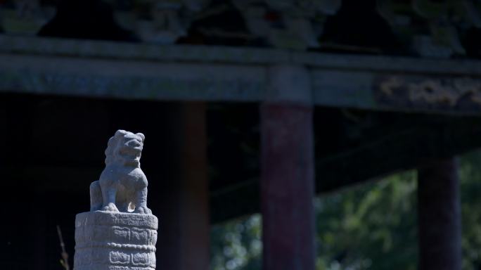 河北曲阳北岳庙神态各异石狮子F