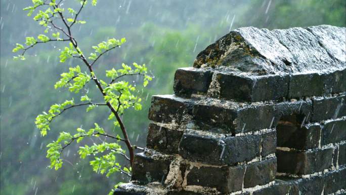 金山岭雨1