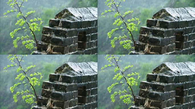 金山岭雨1