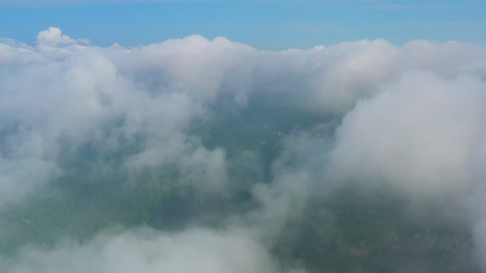 飞机视角从云海穿过云层到森林