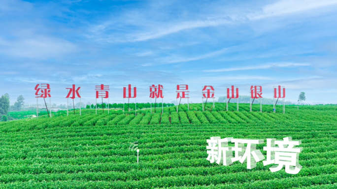 茶山新农业