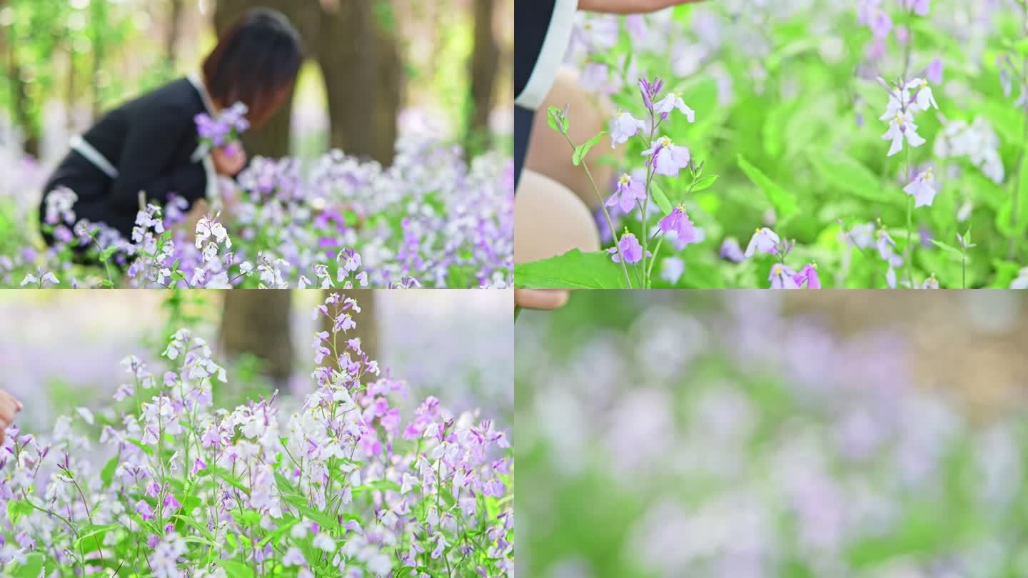 森林雨后野花女孩采花