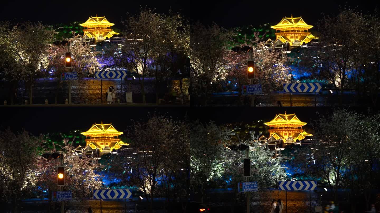 柳州东台路夜紫荆花龙城阁文庙