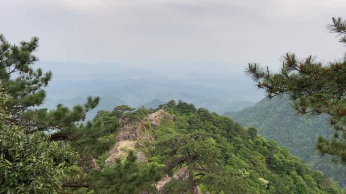 爬山—杭州天目山