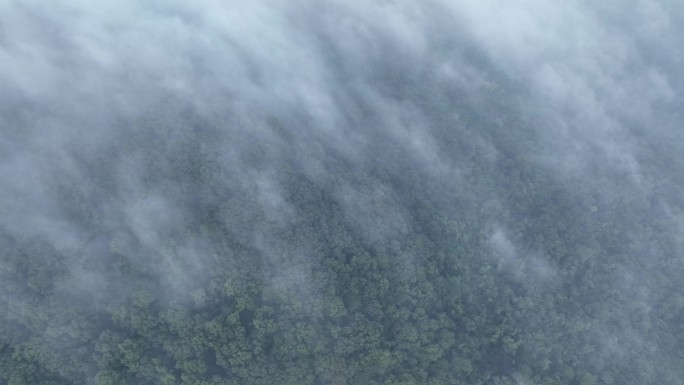 航拍襄阳鹿门山国家森林公园云海自然风光