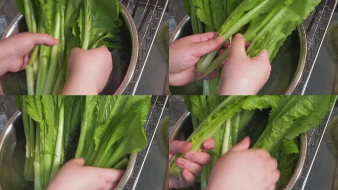 清洗小白菜切段 (3)