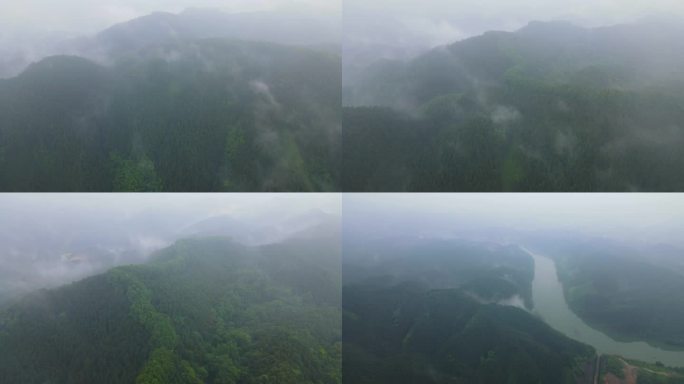 水汽山雾降水量湿润雨季茶叶山谷山中水雾