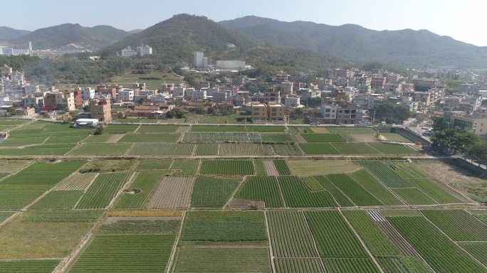 美丽的乡村田野种植作物航拍