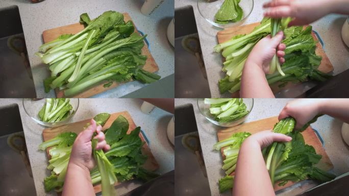 清洗小白菜切段 (4)