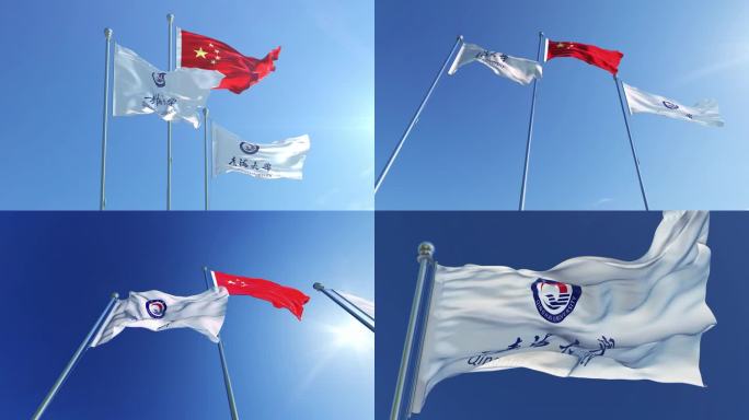 青海大学旗帜