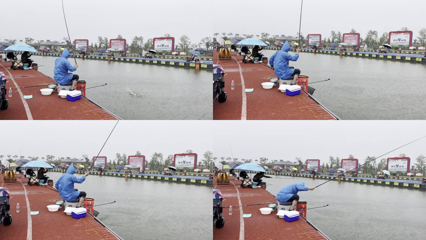 雨中钓鱼比赛台钓抛竿中鱼溜鱼抄鱼