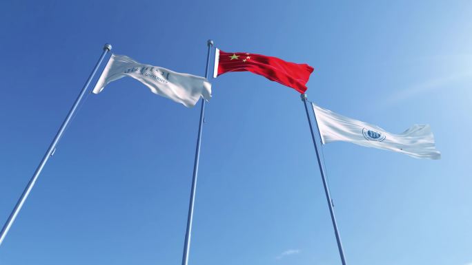 内蒙古大学旗帜
