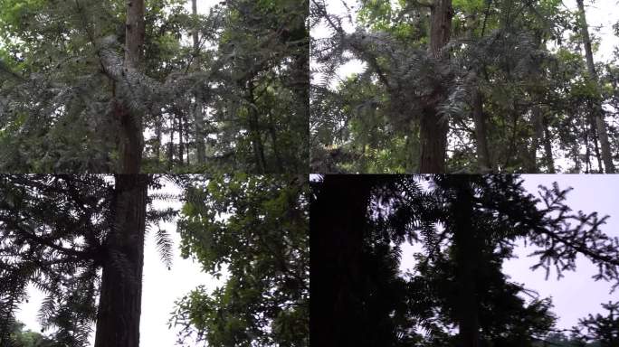 台州温岭梅溪瀑布视频素材C0055