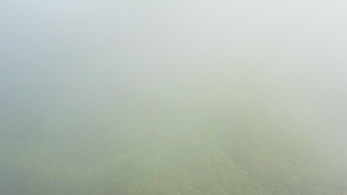 飞机视角从云海看到森林